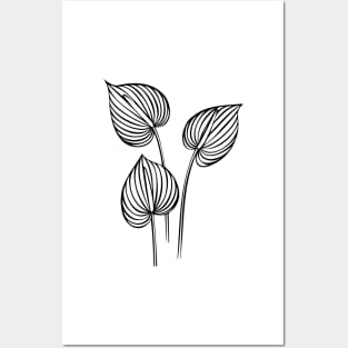 Anthurium Posters and Art